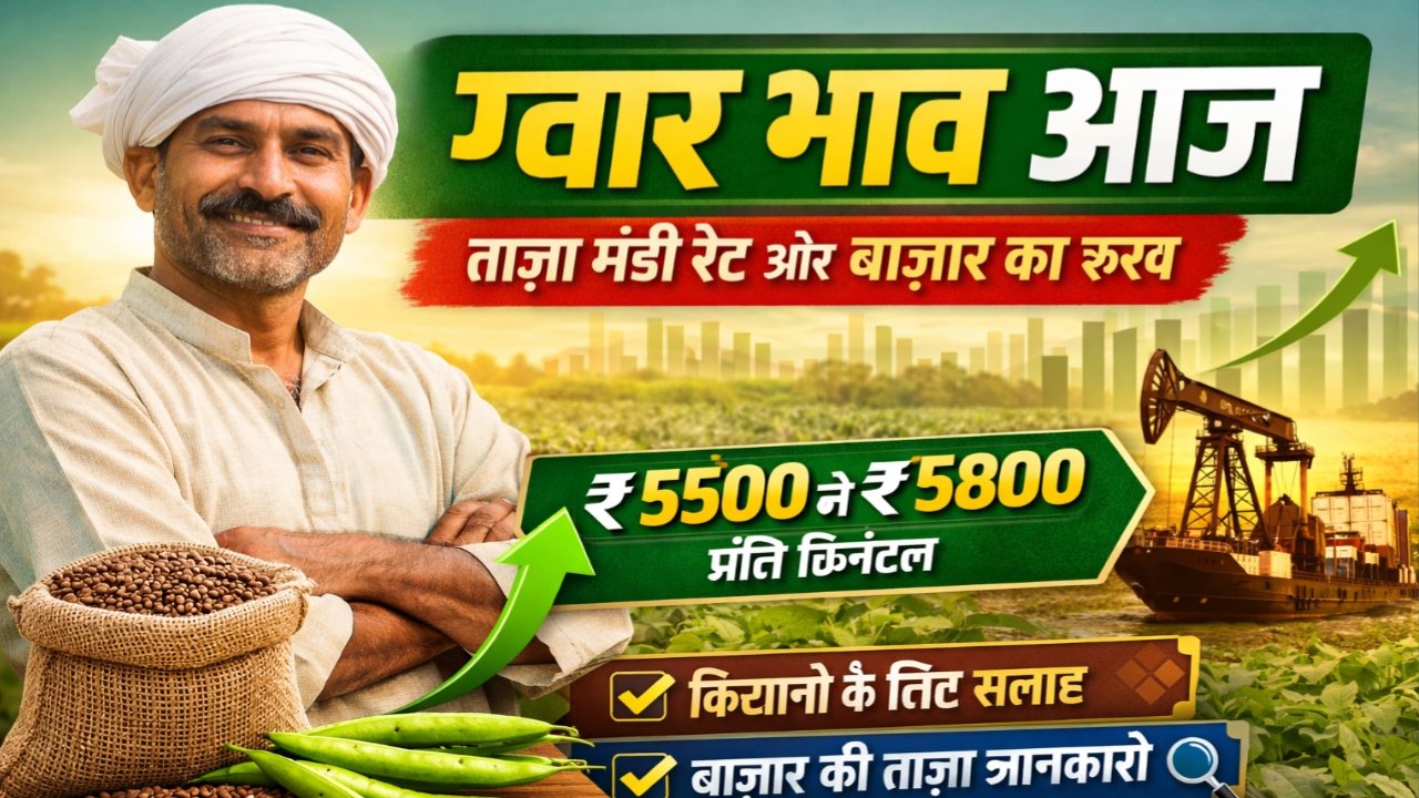 ग्वार भाव आज